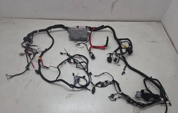Tesla Model Y Juniper Other wiring loom 149731900E