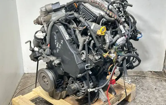Volkswagen Transporter - Caravelle T6 Engine DNA