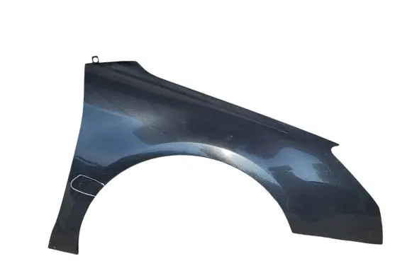 Citroen C5 Fender