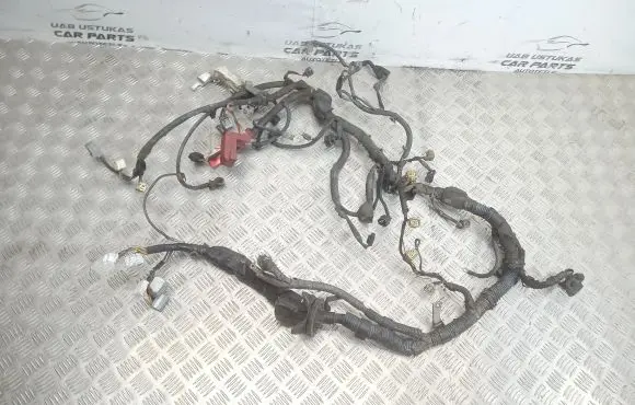 Engine installation wiring loom