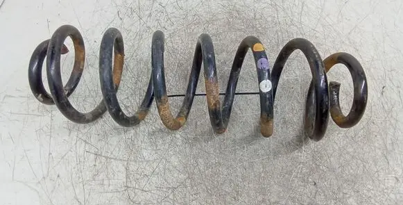 Volkswagen Tiguan Rear coil spring