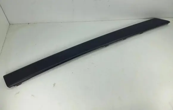 Front door trim (molding)