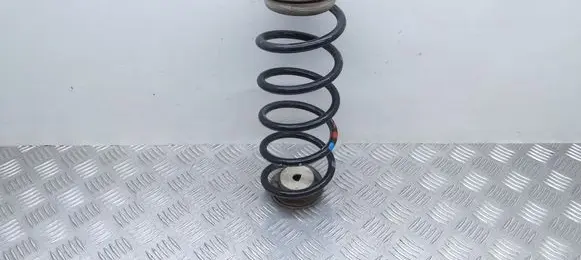 Rear coil spring