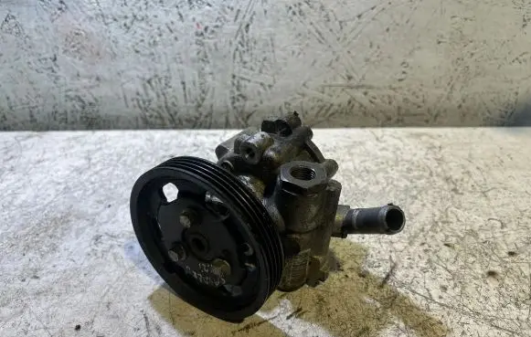 Dacia Sandero Power steering pump 491103834R 7613955613