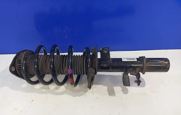 Ford Transit - Tourneo Connect Front shock absorber/damper DV6118K001LC