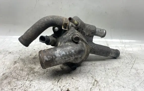 Thermostat/thermostat housing