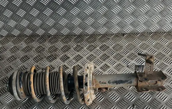 Opel Zafira B Front shock absorber with coil spring 22214013