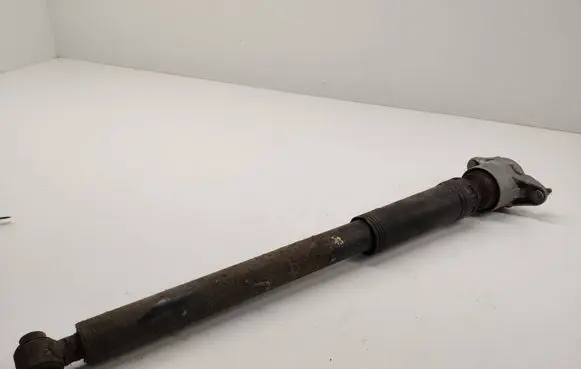 Rear shock absorber/damper