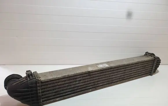 Mercedes-Benz A W169 Intercooler radiator A1695000000
