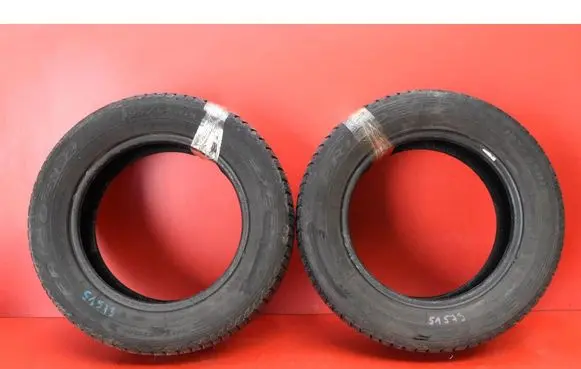 Renault Scenic II - Grand scenic II R17 winter tire