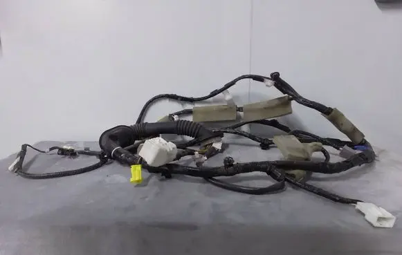Ford Edge II Other wiring loom SJG16P