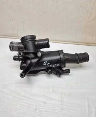 Thermostat/thermostat housing