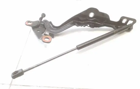 Ford Mustang Mach-E Engine bonnet/hood hinges LJ8BR15C827AD LJ8BR16C965AE