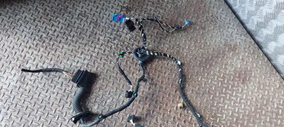 Volkswagen Tiguan Allspace Front door wiring loom 5NN971121AH