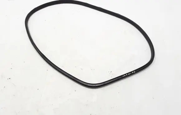 Renault Captur II Rear door rubber seal (on body) 769238549R