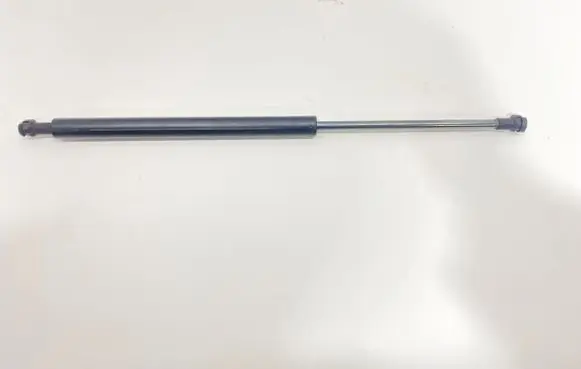 Tailgate/trunk strut/damper