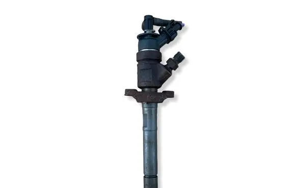 Citroen C4 I Picasso Fuel injector 044511311