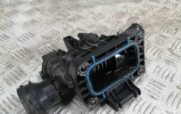 Thermostat/thermostat housing