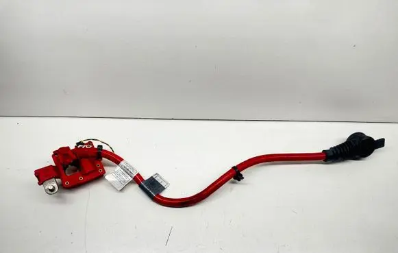 BMW 5 F10 F11 Positive cable (battery) 9217036 10304410 EEZ17Z