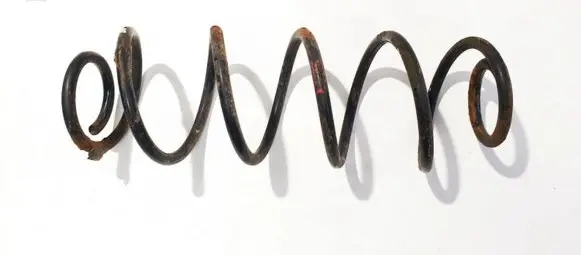 Citroen C3 Rear coil spring