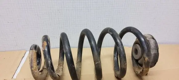 Rear coil spring