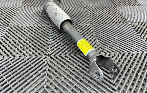 Chevrolet Corvette C6 Rear shock absorber/damper 10302877