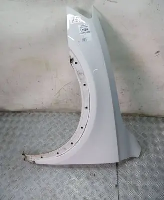Audi Q3 8U Fender