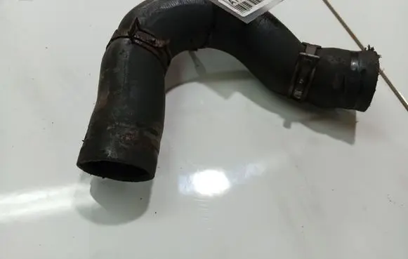 Subaru Legacy Engine coolant pipe/hose