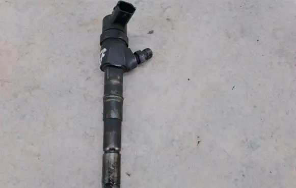 Fiat Bravo Fuel injector 0445110243