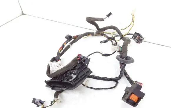 Front door wiring loom