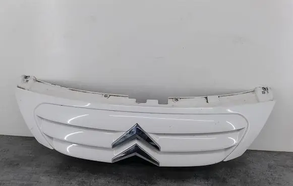 Front grill