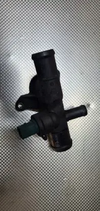 Thermostat/thermostat housing