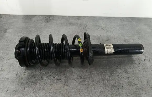 Volkswagen PASSAT B6 Front shock absorber/damper 