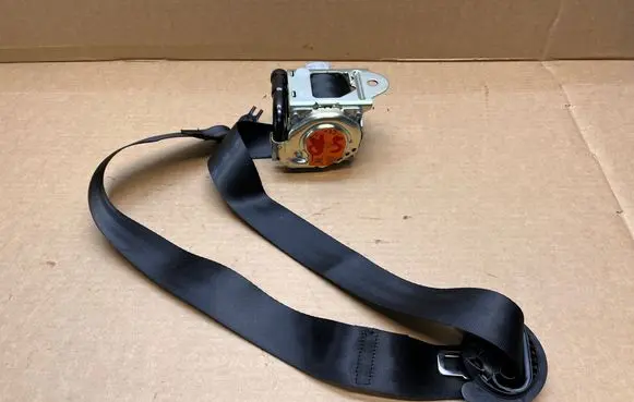 Volkswagen Multivan T7 Rear seatbelt 