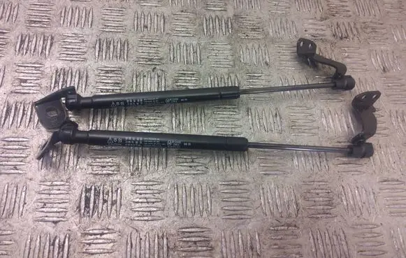 Chevrolet Captiva Rear window strut damper 82553891300