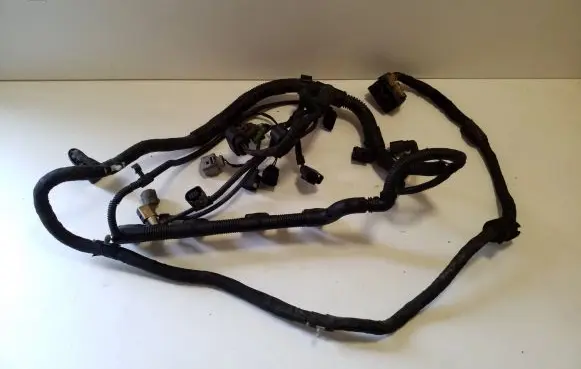Engine installation wiring loom