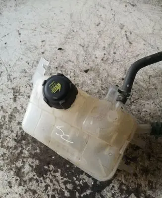 Renault Scenic III - Grand scenic III Coolant expansion tank/reservoir 217100005R