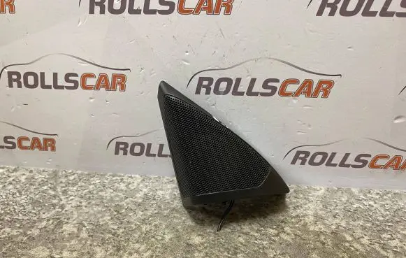 Opel Insignia A Front door high frequency speaker 13240950 110607