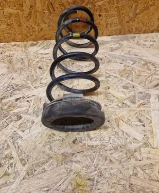 Rear coil spring