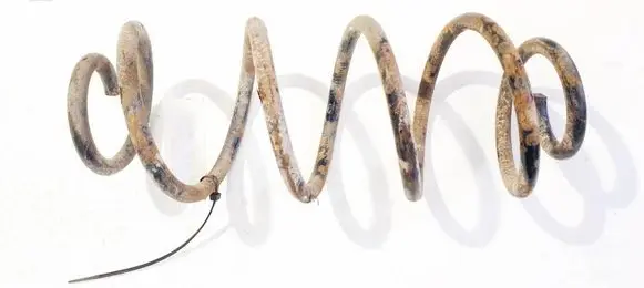 Rear coil spring