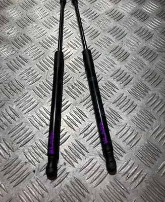Toyota Yaris XP210 Tailgate strut PK20401