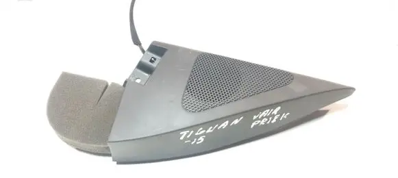 Front door high frequency speaker