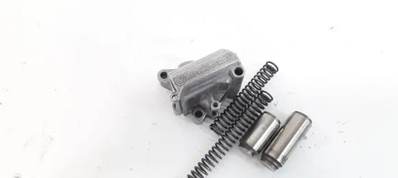 BMW 3 E46 Timing belt/chain tensioner 2246808