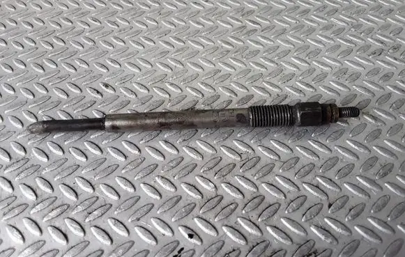 Peugeot 307 Glow plug 0250204001