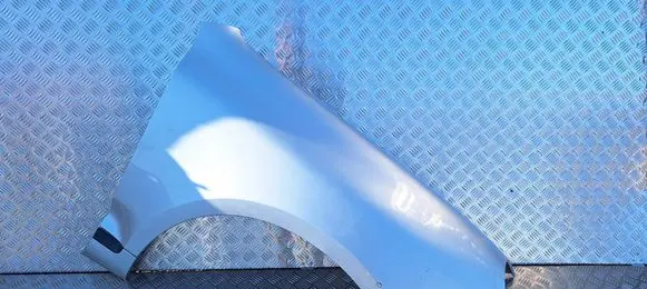 Porsche Cayenne (9PA) Fender