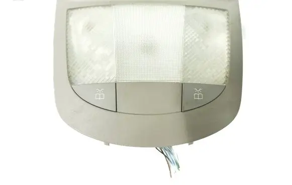 Mercedes-Benz R W251 Rear seat light A1715420123 A1648200423 102366600