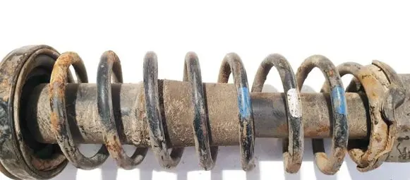 Honda Civic Rear coil spring