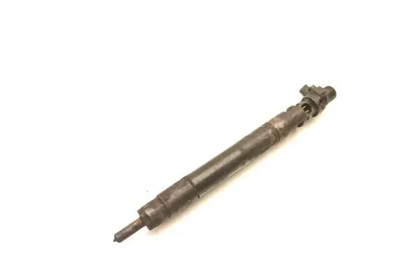 Peugeot Expert Fuel injector 9686191080 EMBR00101D