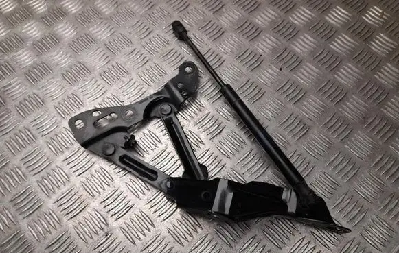 Tesla Model X Engine bonnet/hood hinges 1058042RH