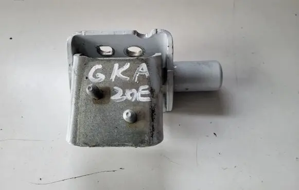 Renault Zoe Rear door lower hinge